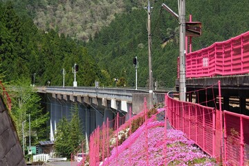 山の中にある鉄道の橋梁の風景
