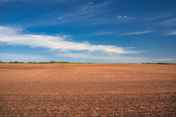 A vast, freshly plowed agricultural field under a vivid blue sky dotted with fluffy white clouds.