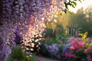 Hello June text on a blooming garden background. Selective focus. 