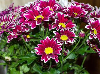 Obraz premium A bouquet of flowers with pink and white petals