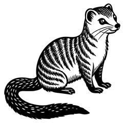 illustration of a cat