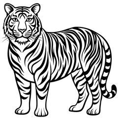 white tiger vector