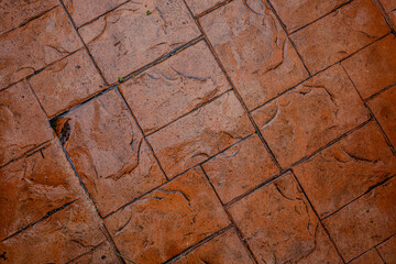 Wet Terracotta Tiles with Crisp Autumn Leaves in Malacca in Malaysia