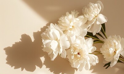 floral arrangement showcasing stylish white peonies and their shadows in sunlight, Generative AI 