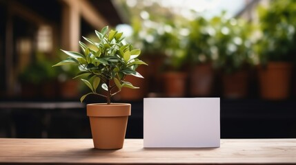A potted plant is placed next to a card on a table