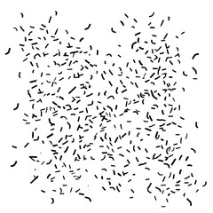 Confetti icon, celebration icon, birthday icon, party icon, anniversary icon, event icon, holiday icon, ceremony icon, festival icon, greeting icon, exploding icon, Christmas icon, festive icon,party,