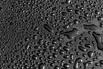 Water drops on a black background. Texture