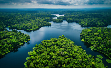 Fototapeta na wymiar Aerial view of Amazon rainforest in Brazil, South America. Green forest. Bird's-eye view