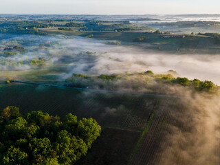 Aerial view of Bordeaux vineyard at sunrise spring under fog, Rions, Gironde, France. High quality photo