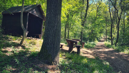 Forest and hiking trails of the Somogyi hills, valley bridge, Balaton, Hungary