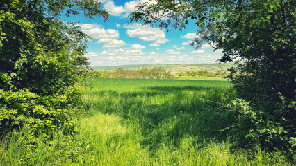 Forest and hiking trails of the Somogyi hills, valley bridge, Balaton, Hungary