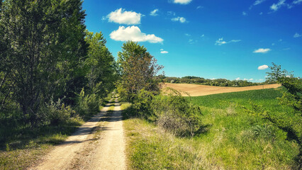 Forest and hiking trails of the Somogyi hills, valley bridge, Balaton, Hungary
