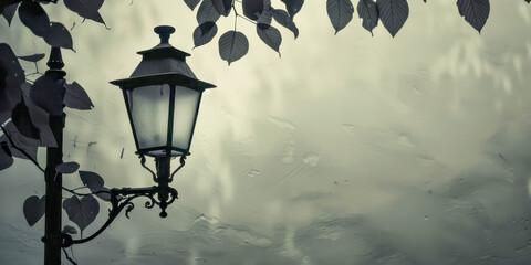 A street lamp is lit up in the rain