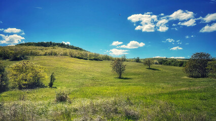 Forest and hiking trails of the Somogyi hills, valley bridge, Balaton, Hungary