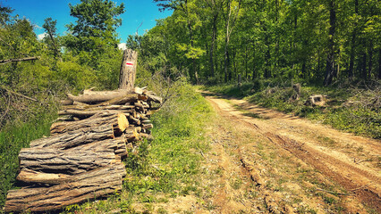 Forest and hiking trails of the Somogyi hills, valley bridge, Balaton, Hungary