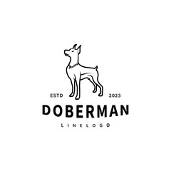 Standing doberman dog logo design illustration 4