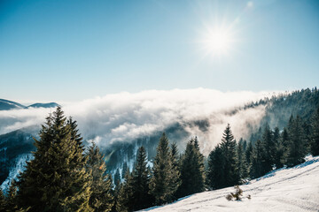 Alpine mountains landscape with white snow and blue sky. Sunset winter in nature. Frosty trees...