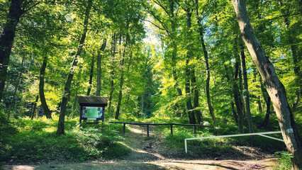 Forest and hiking trails of the Somogyi hills, valley bridge, Balaton, Hungary