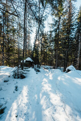 Alpine mountains landscape with white snow and blue sky. Sunset winter in nature. Frosty trees under warm sunlight. Wintry landscape. High tatras, Slovakia