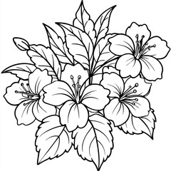 Hibiscus Flower Bouquet illustration coloring book page design, Hibiscus Flower Bouquet black and white line art drawing coloring book pages for children and adults