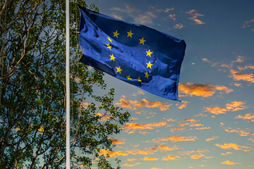 European Union flag. Blue banner with yellow stars	