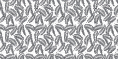 gray palm leaf for background or wallapaper PNG