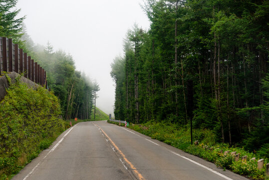 The road that is surrounded by green forests on both sides and looks down occasionally in the morning
