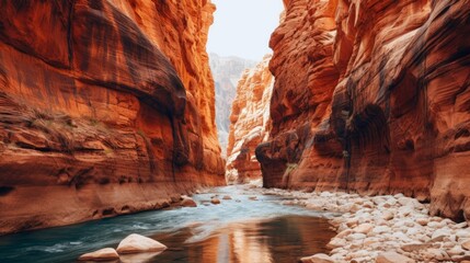 Fototapeta na wymiar A river through a narrow canyon