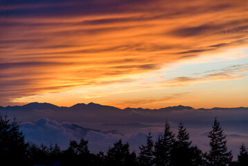 The orange sky with purple, magenta, and blue gradients was so beautiful. Contrast with the fresh green trees in the evening