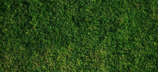 Green Grass Texture Background Wallpaper