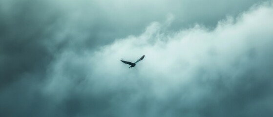 Fototapeta premium Harmony in chaos: A lone bird soaring amidst stormy clouds, finding peace amidst turmoil.