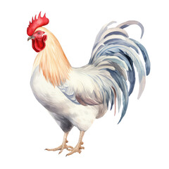 AI-Generated Watercolor Chicken Clip Art Illustration. Isolated elements on a white background.