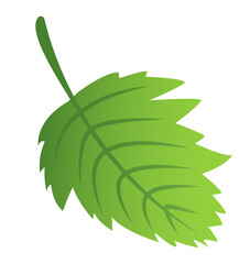 green leaves, leaf for logo, design, icon for the symbolism of the green planet