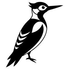 Graceful Woodpecker Silhouette: Captivating Nature Art