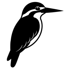 Obraz premium Majestic Kingfisher Silhouette: A Stunning Avian Impression