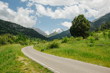 Curvy road surrounded by green trees and grass in mountains in cloudy warm summer day