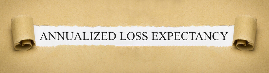 Annualized Loss Expectancy