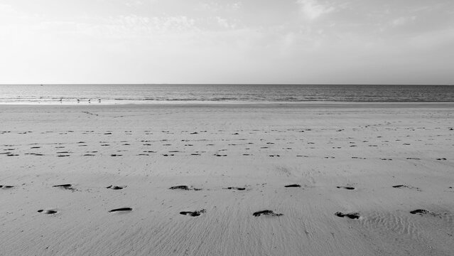 Beach Footprints Monochrome Wide Angle