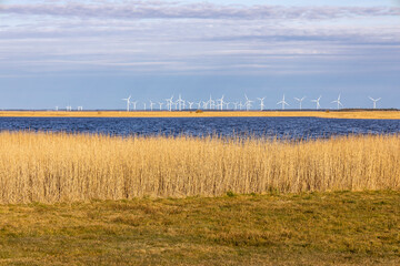 Ringkøbing Fjord - Bjerregård - Dänemark 1