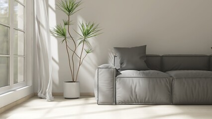 Gray sofa, dracaena tree in white wall living room in sunlight from window, sheer curtain, shadow...