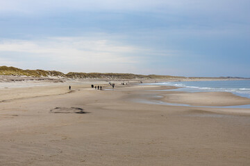 Strand von Hvide Sande - Dänemark 3