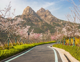 Spring in Qingdao. Landscape of Fushan Eco-Park. Qingdao. China.