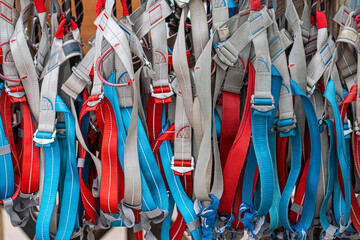 Multiple climbing harnesses in red, blue, and gray hues, hanging and ready for use, as background