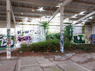 Interior of abandoned warehouse with greenery and bright sunlight breaking in