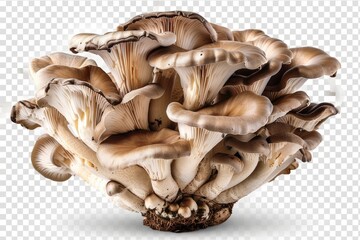 Frontal view of a vegetable isolate with maitake mushrooms on a white backdrop. Generative Ai