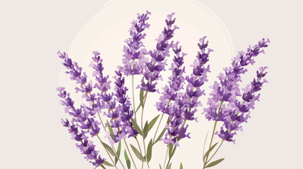 Bouquet of beautiful lavender flowers on light background