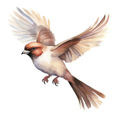 AI-Generated Watercolor Sparrow flying Clip Art Illustration. Isolated elements on a white background.
