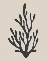 classic marine coral sketch illustration