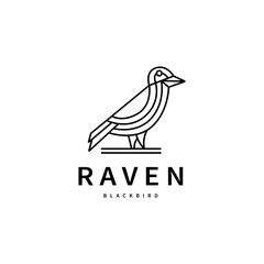 Fototapeta premium black bird raven logo design illustration 4