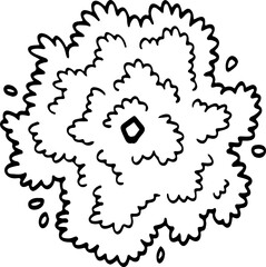 top view of tree hand drawing.